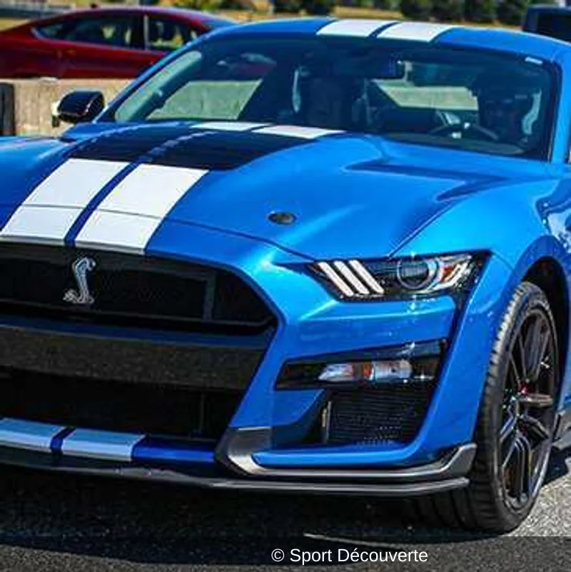Pilotage Mustang Shelby GT500 - Croix-en-Ternois