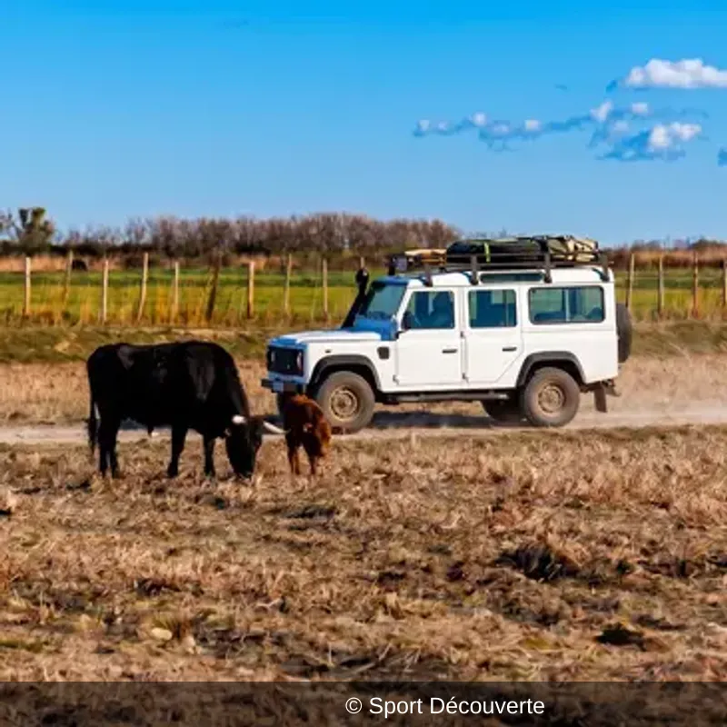 Randonnée Safari en 4x4 à Fontvieille dans les Alpilles